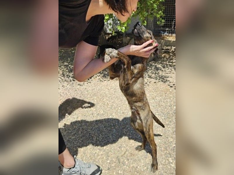 Hoku möchte dein Herz erobern