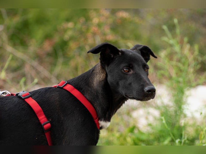 Maria – eine Freundin fürs Leben