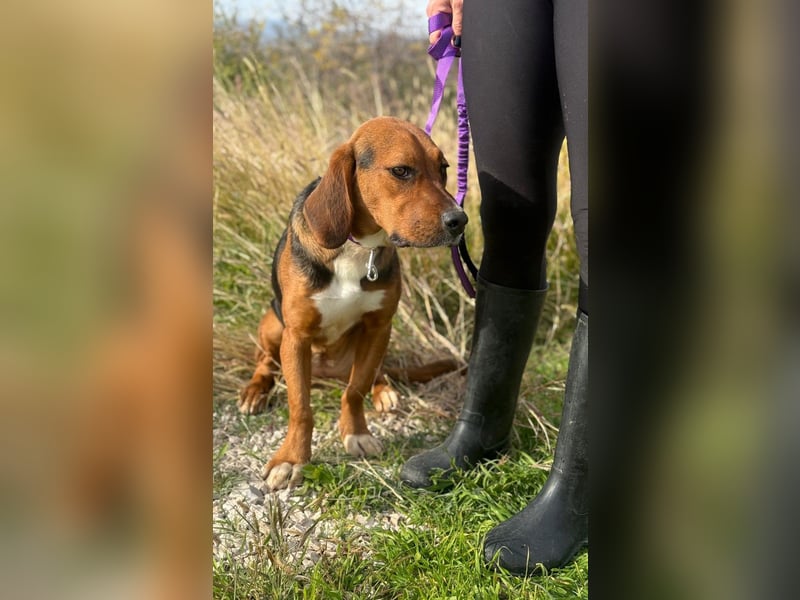 Süße Magda sucht Kuschelpartner/-in