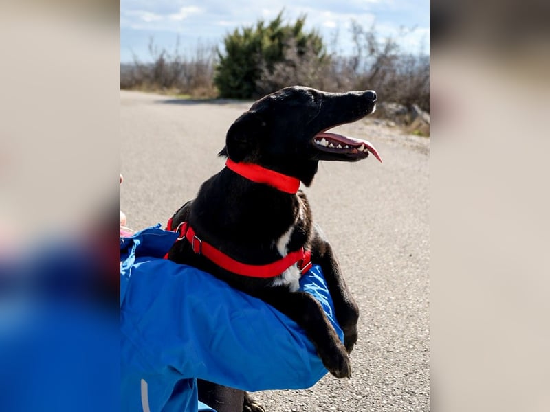 Maria – eine Freundin fürs Leben