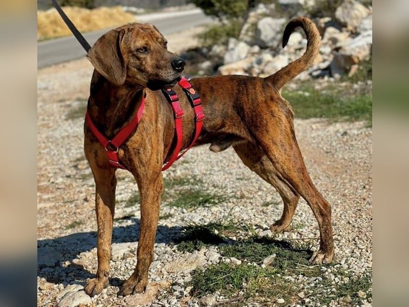 Lebensfroher Thanos sucht seinen Jackpot!