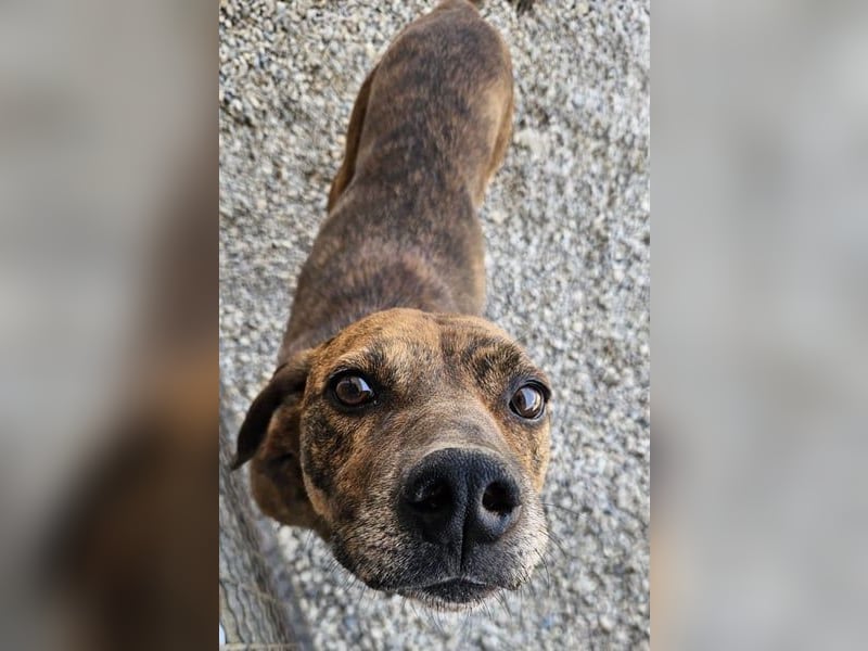 Lebensfroher Thanos sucht seinen Jackpot!