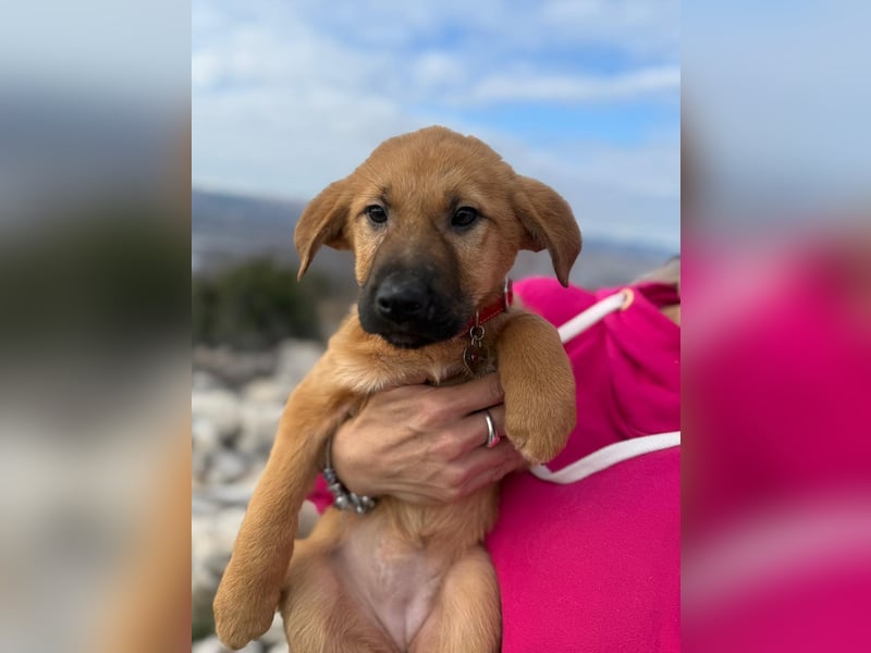 Cocco auf der Suche nach dem Glück