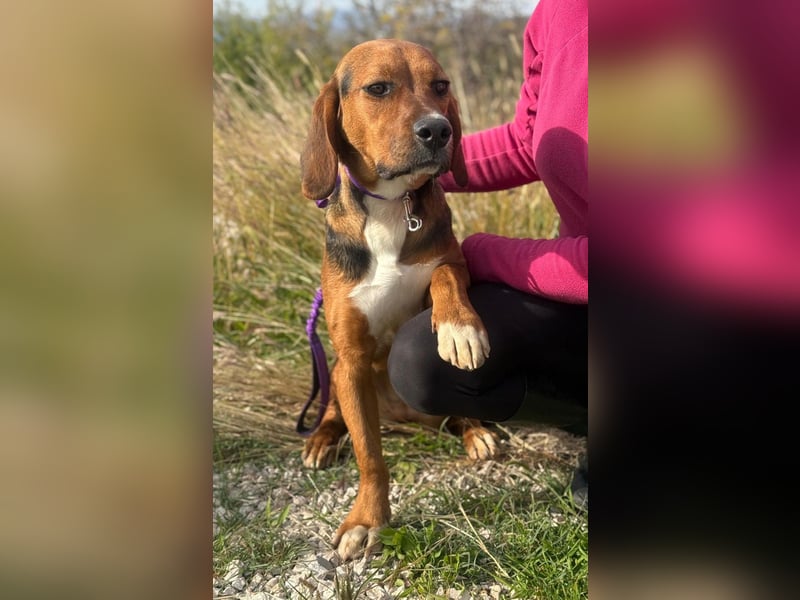 Süße Magda sucht Kuschelpartner/-in