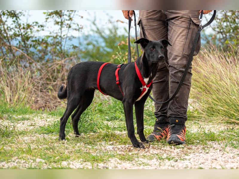 Maria – eine Freundin fürs Leben