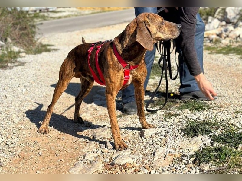 Lebensfroher Thanos sucht seinen Jackpot!