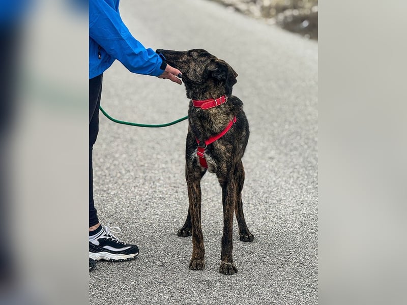 Hoku möchte dein Herz erobern