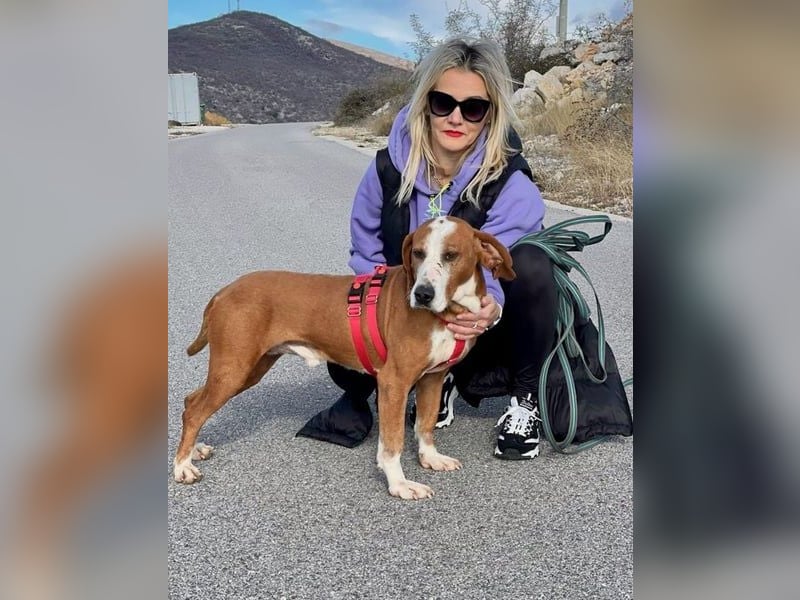 Watson – ein Senior auf der Suche nach Ruhe und Liebe