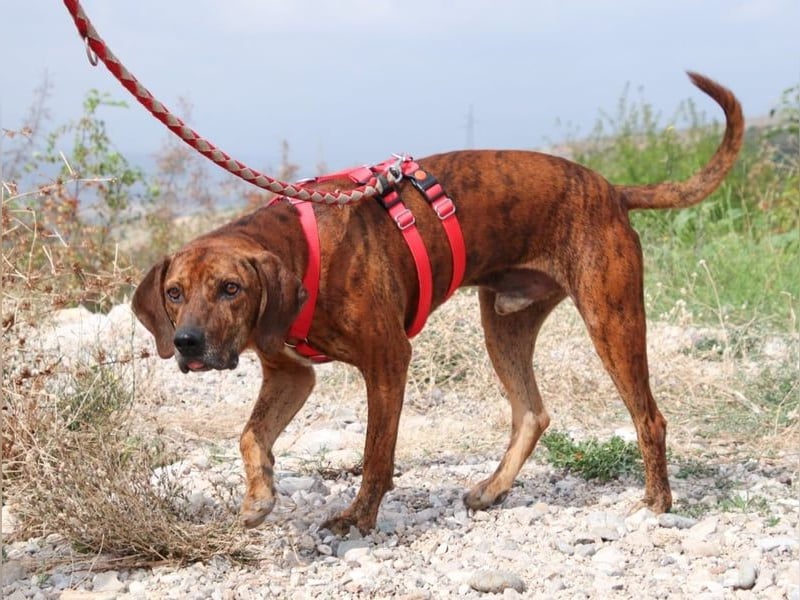 Lebensfroher Thanos sucht seinen Jackpot!