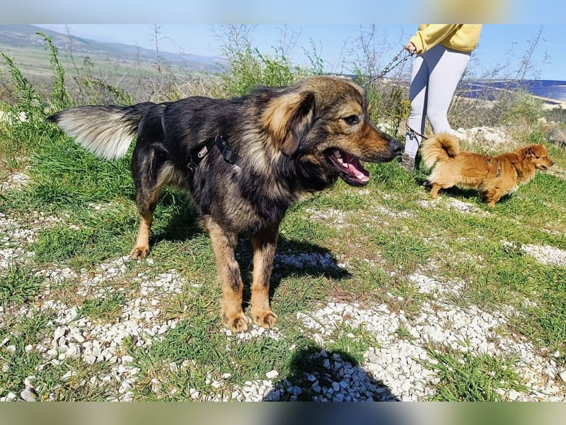 Tomtom wünscht sich viele Leckerlies
