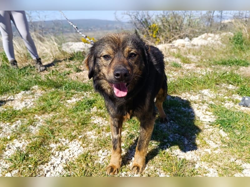 Tomtom wünscht sich viele Leckerlies