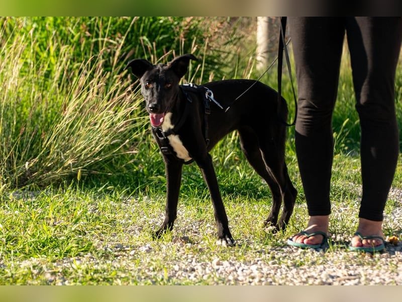 Flöckchen – eine Freundin fürs Leben