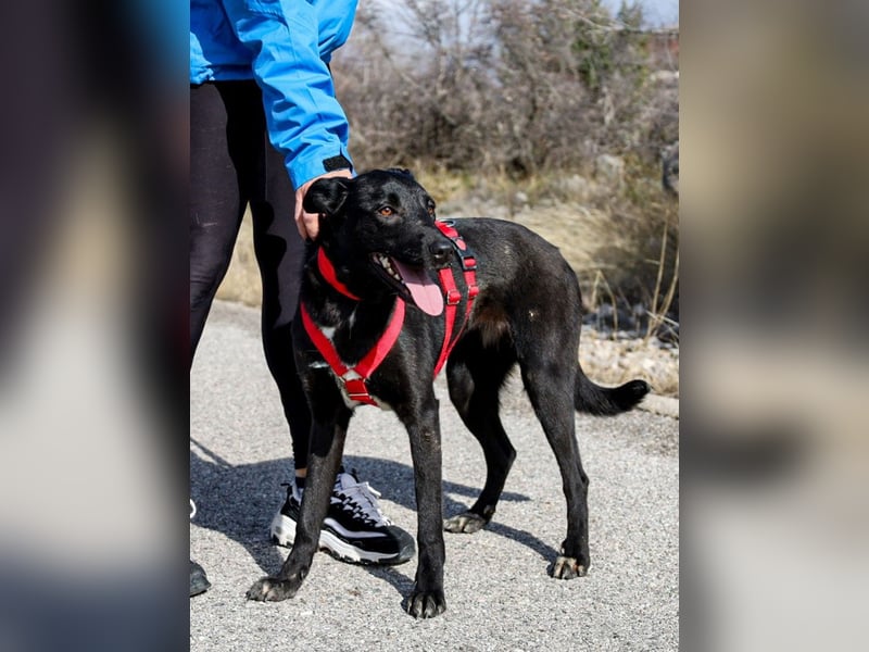 Maria – eine Freundin fürs Leben