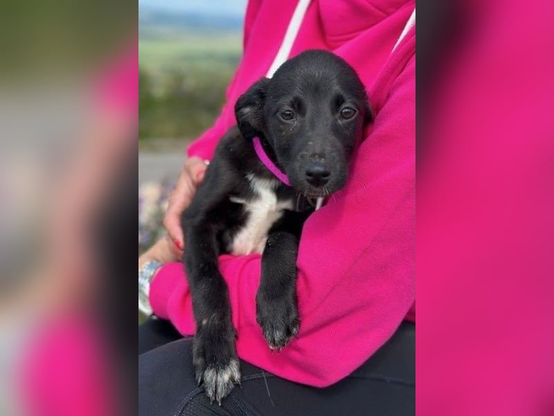 Maria – eine Freundin fürs Leben