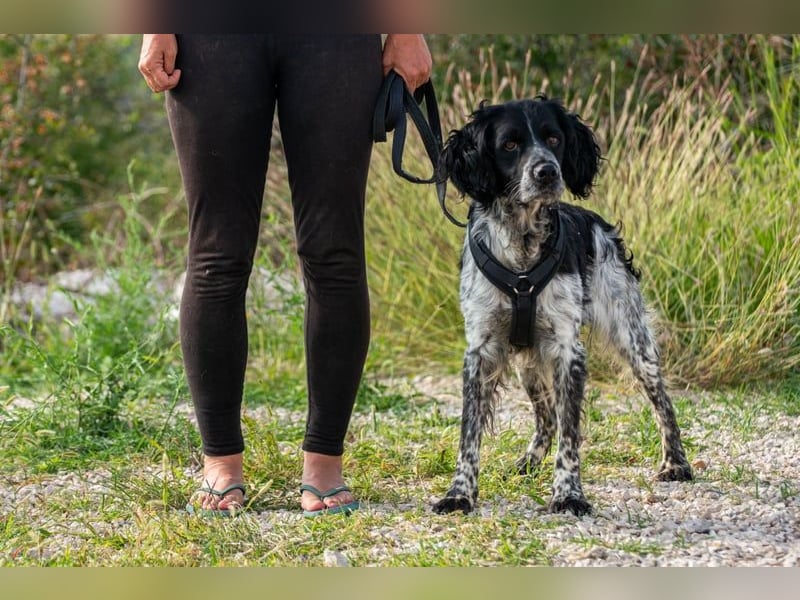 Flek wartet darauf, seine eigene Familie zu finden