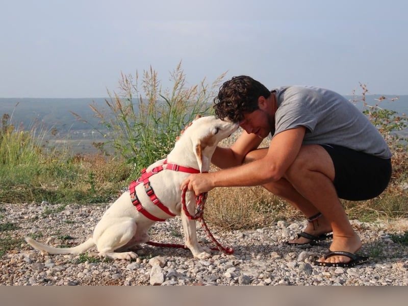 Dauergast Dino sucht Menschen mit Herz