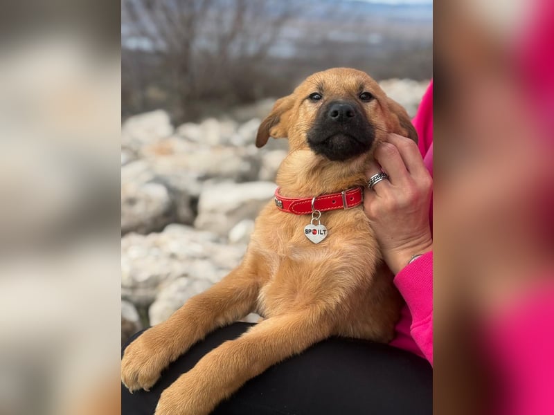 Cocco auf der Suche nach dem Glück