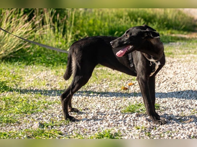 Maria – eine Freundin fürs Leben