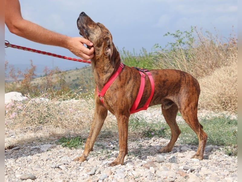 Lebensfroher Thanos sucht seinen Jackpot!