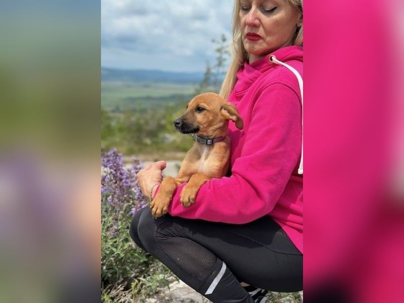 Fridtjof – ein Freund fürs Leben