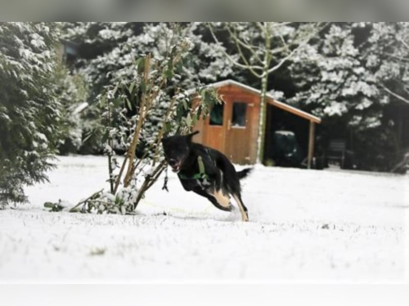 Eloise sucht eine Bezugsperson