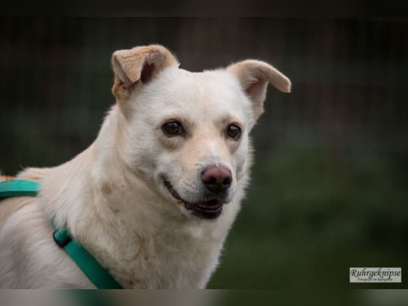 Ferox sucht ein neues Zuhause