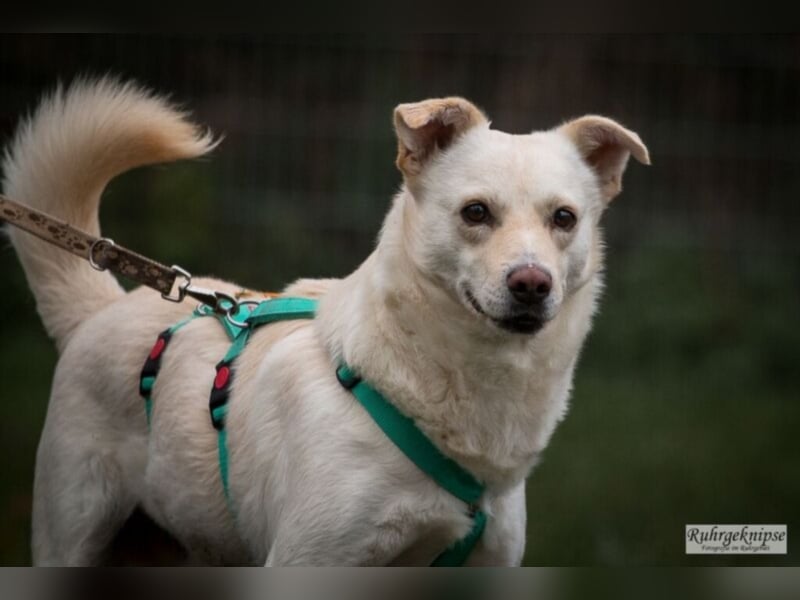 Ferox sucht ein neues Zuhause