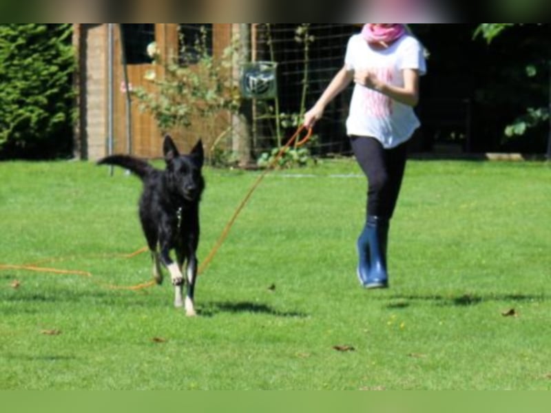 Eloise sucht eine Bezugsperson