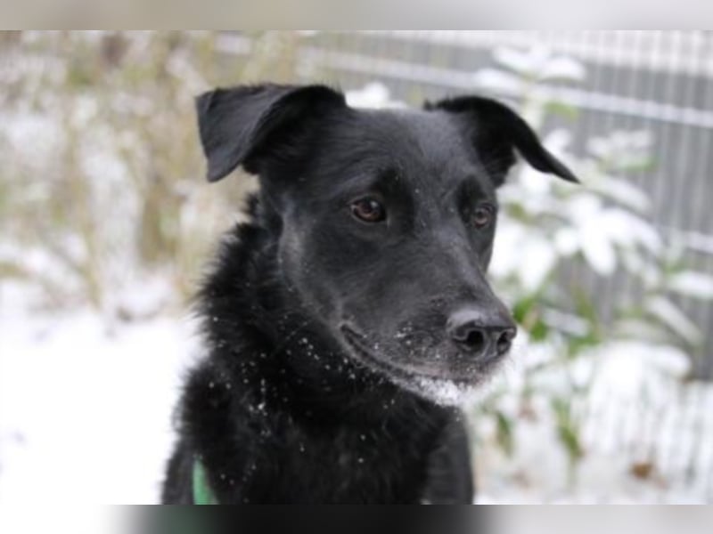 Eloise sucht eine Bezugsperson