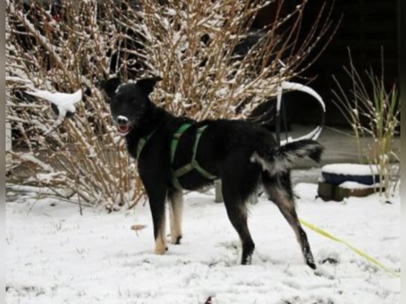 Eloise sucht eine Bezugsperson