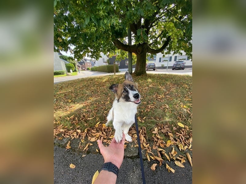 Leia wartet in Herne