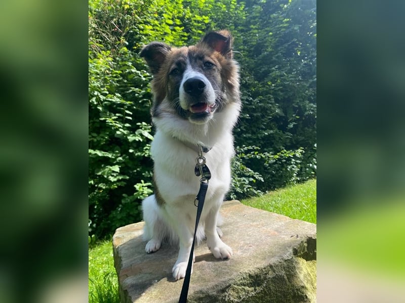 Leia wartet in Herne