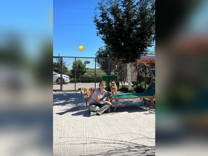 Lucy (4) – klein, bezaubernd und bereit für ihr eigenes Zuhause