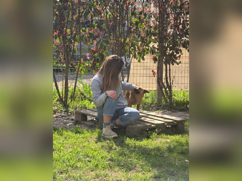 Lucy (4) – klein, bezaubernd und bereit für ihr eigenes Zuhause