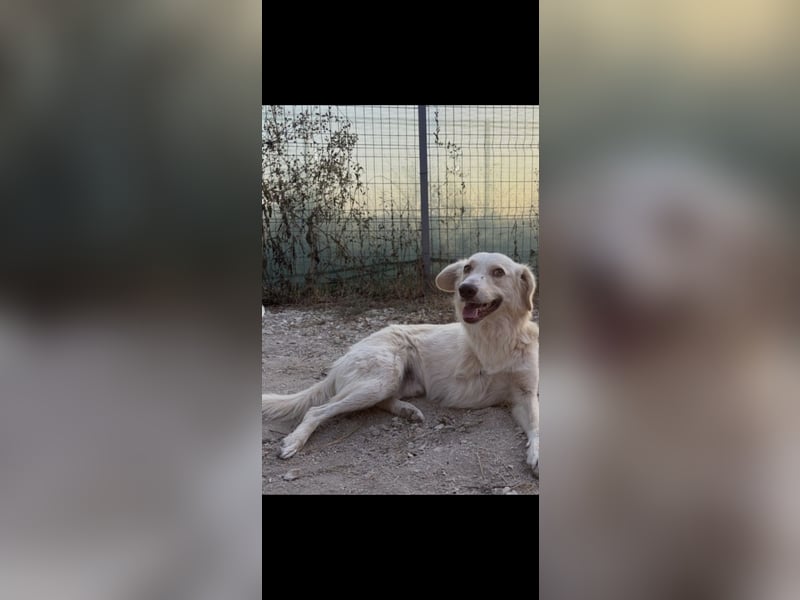 Biggi (2) unser dreibeiniger Sonnenschein