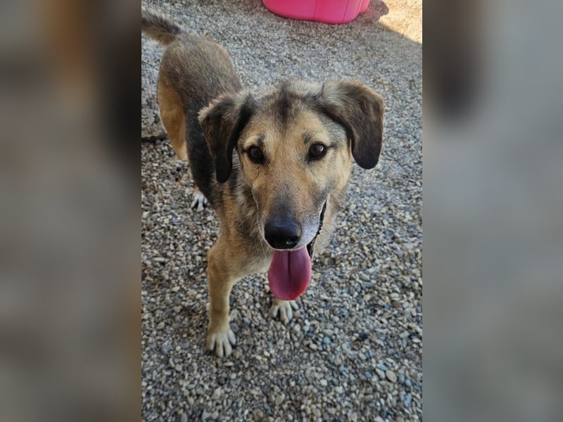 Theo sucht seine Menschen