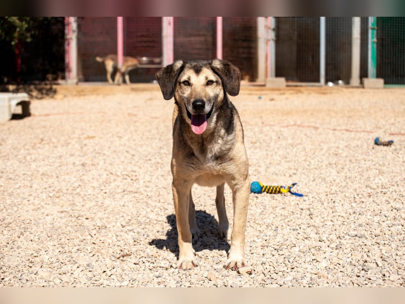 Theo sucht seine Menschen