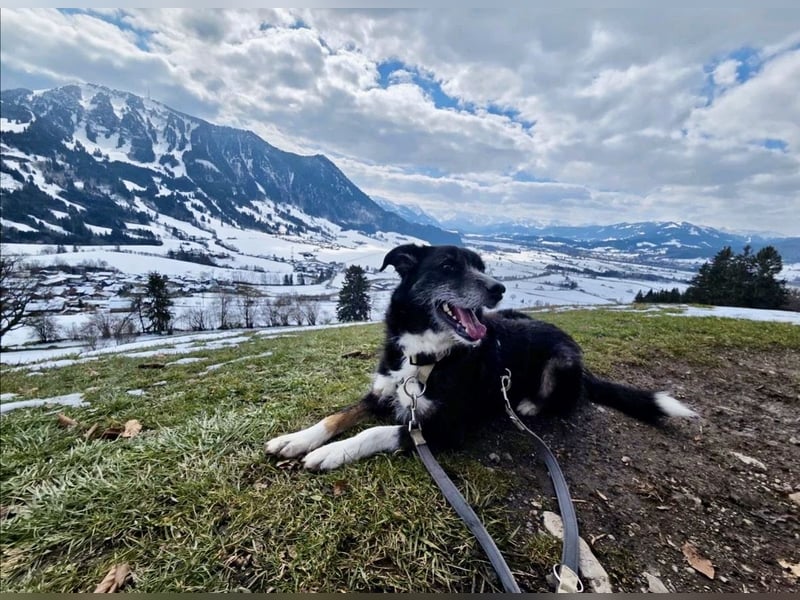 TUCKER (*2021) auf PS in 97080 Würzburg