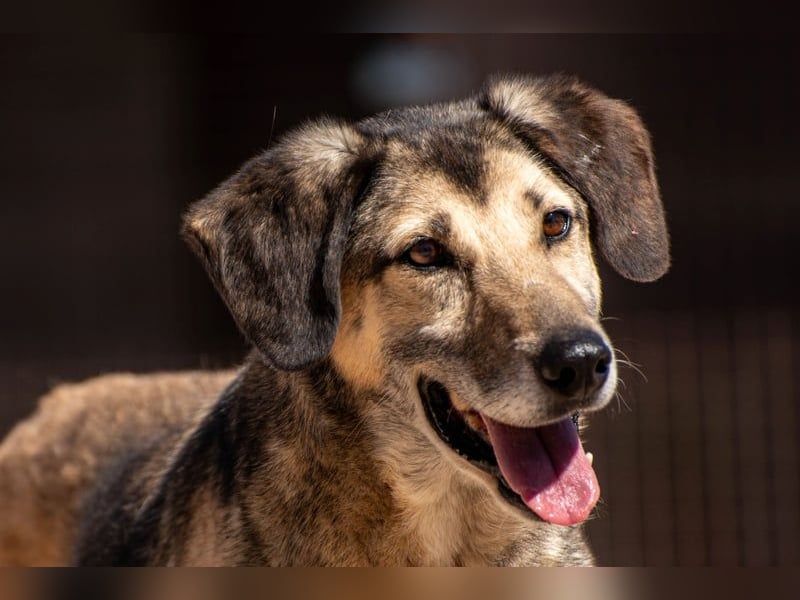 Theo sucht seine Menschen