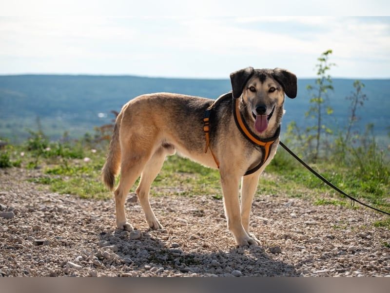 Theo sucht seine Menschen