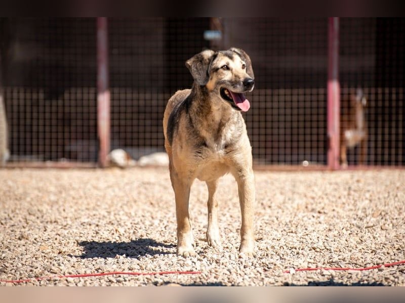 Theo sucht seine Menschen