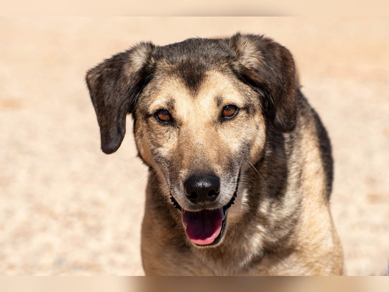 Theo sucht seine Menschen