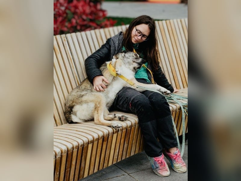 Liebevolle Hündin Pjosia sucht ruhiges Zuhause