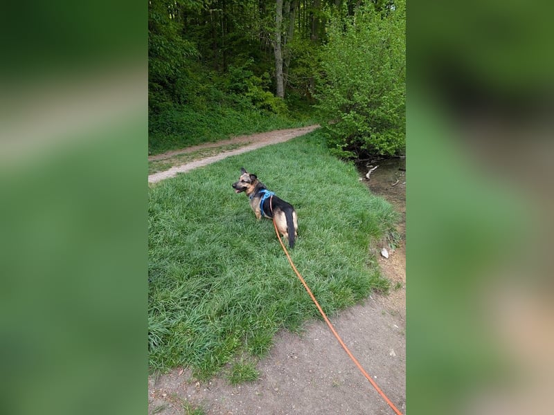 Berny ist aufgeschlossen und verspielt