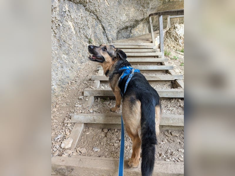 Berny ist aufgeschlossen und verspielt
