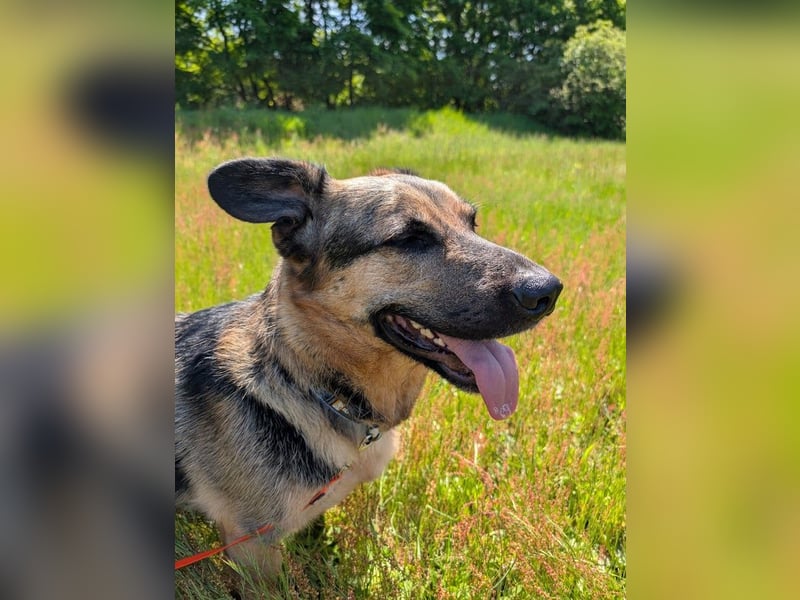Berny ist aufgeschlossen und verspielt