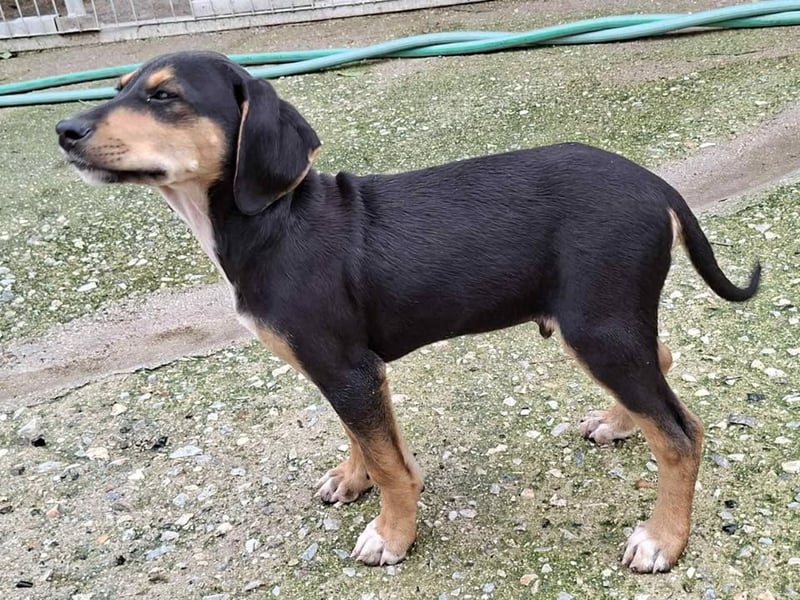 Ayko  möchte bald nach Hause kommen