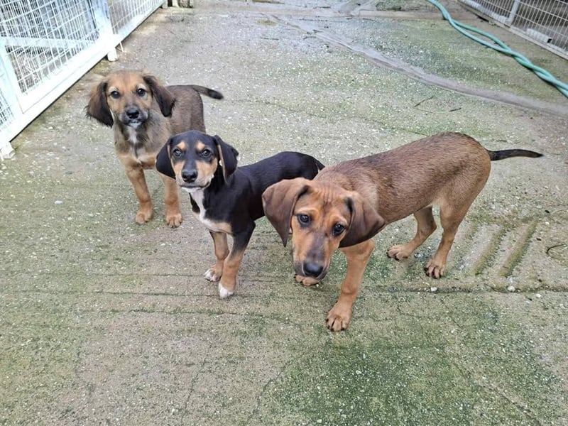 Ayko  möchte bald nach Hause kommen