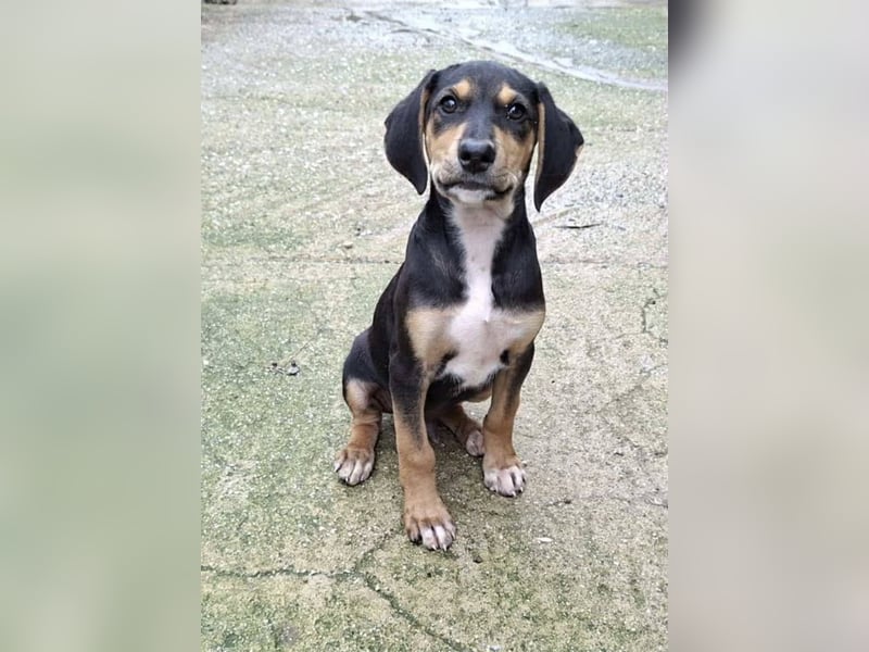 Ayko  möchte bald nach Hause kommen