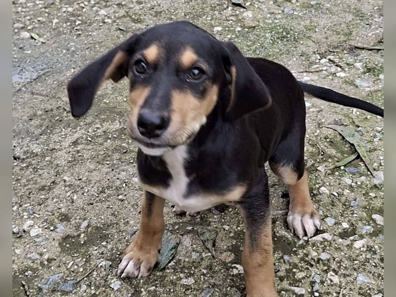 Ayko  möchte bald nach Hause kommen